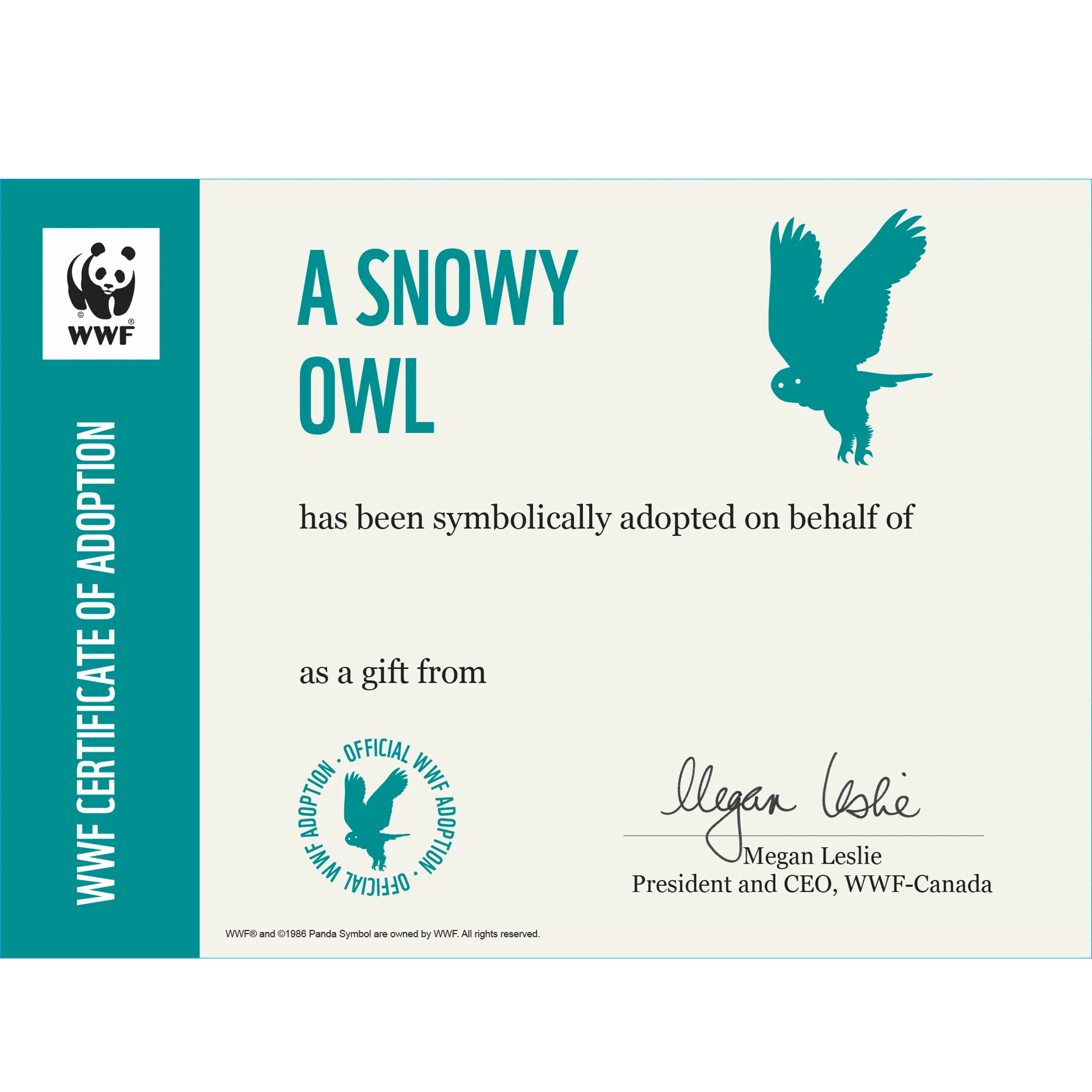 Snowy owl - Image 4