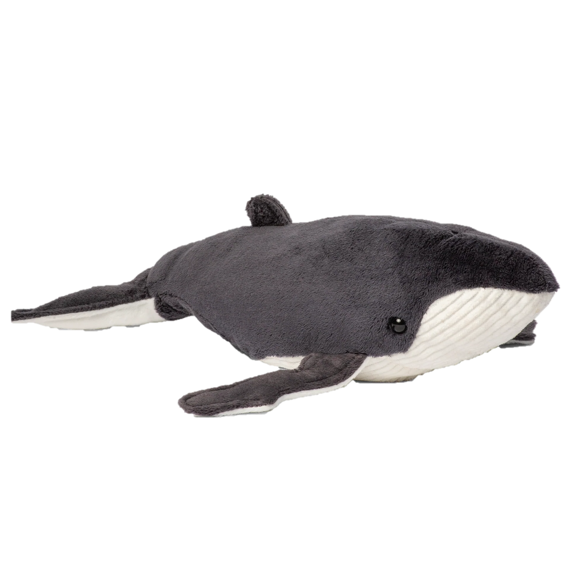 Humpback whale - Image 2