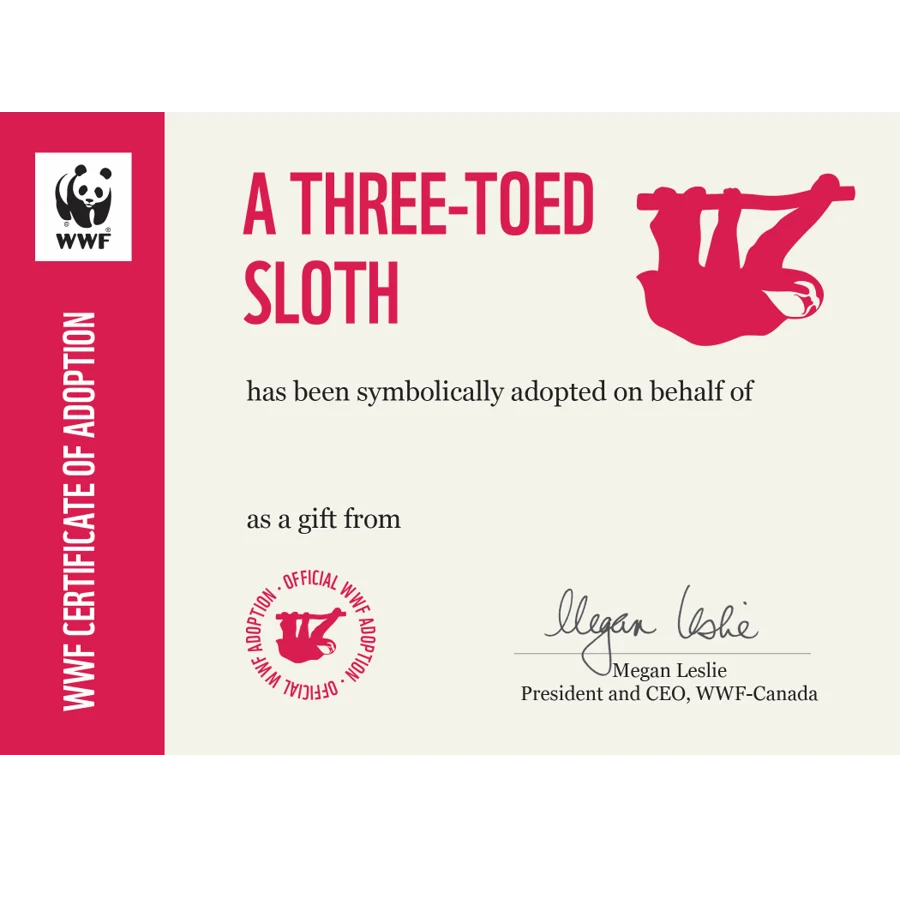 Three-toed sloth adoption card - Image 3