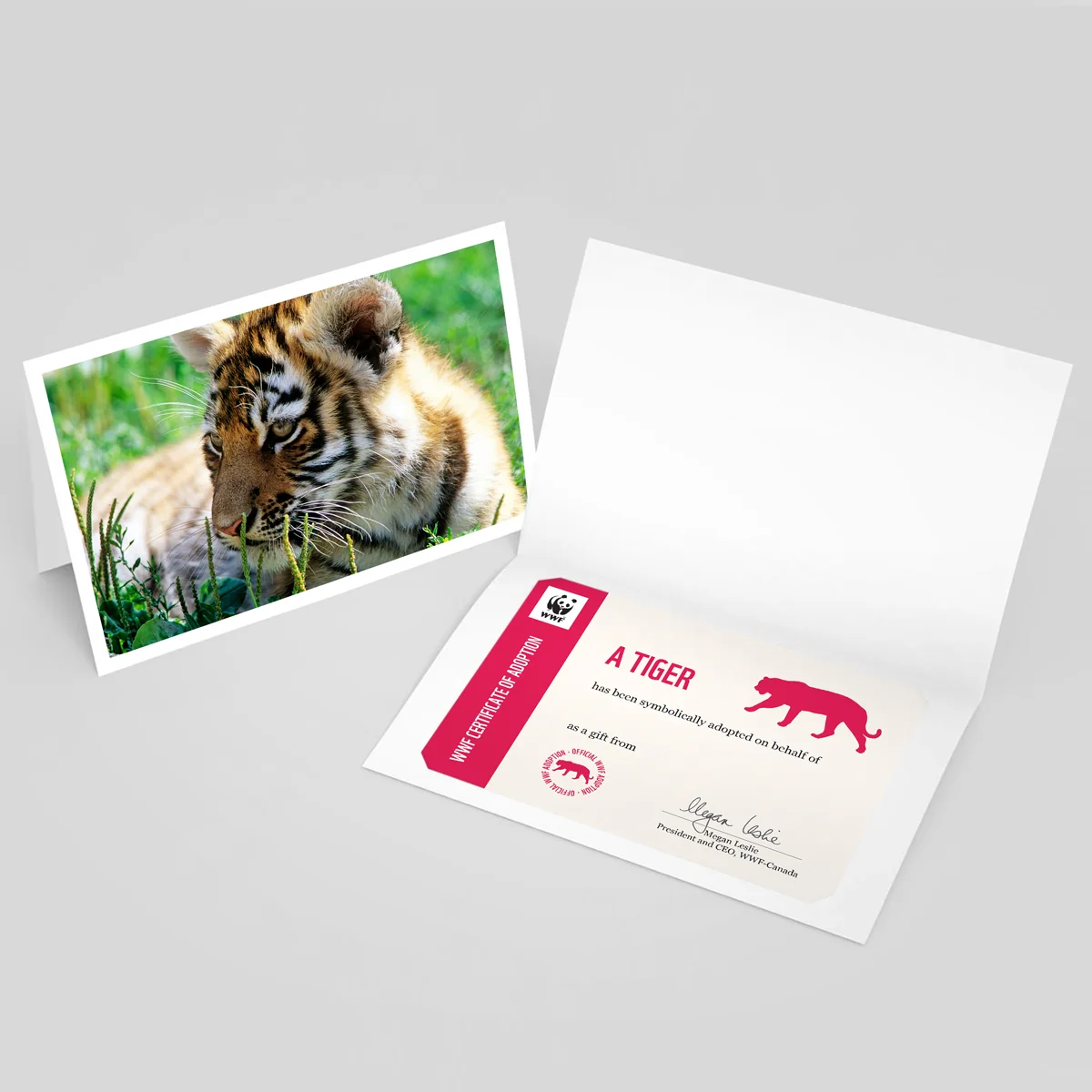Tiger adoption card