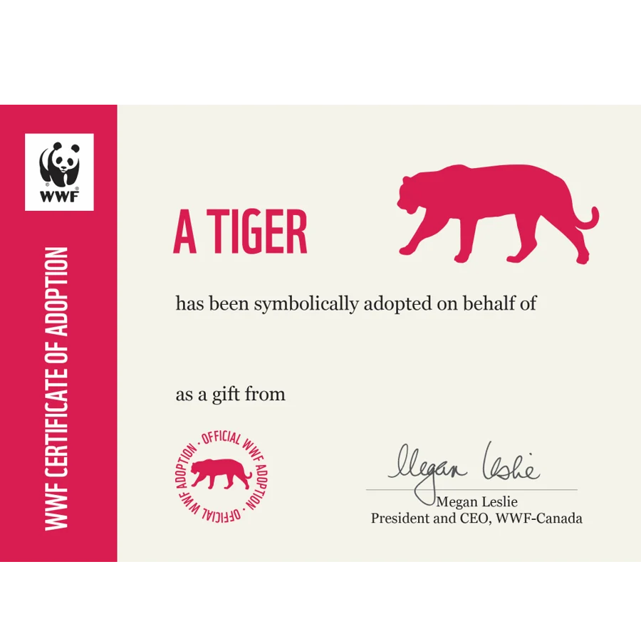 Tiger adoption card - Image 3