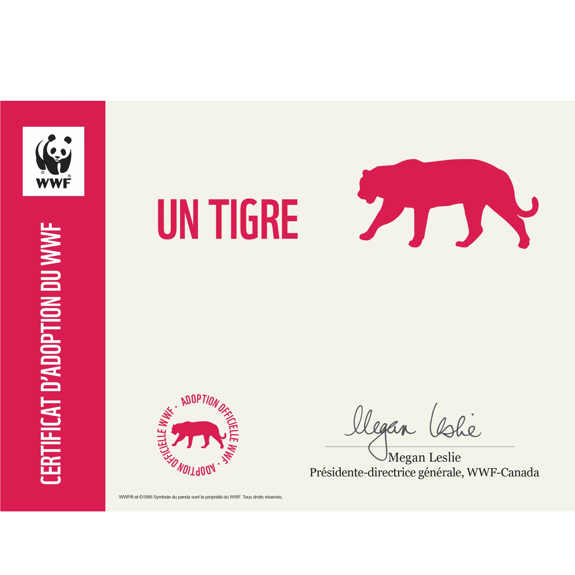 Tigre - Image 4
