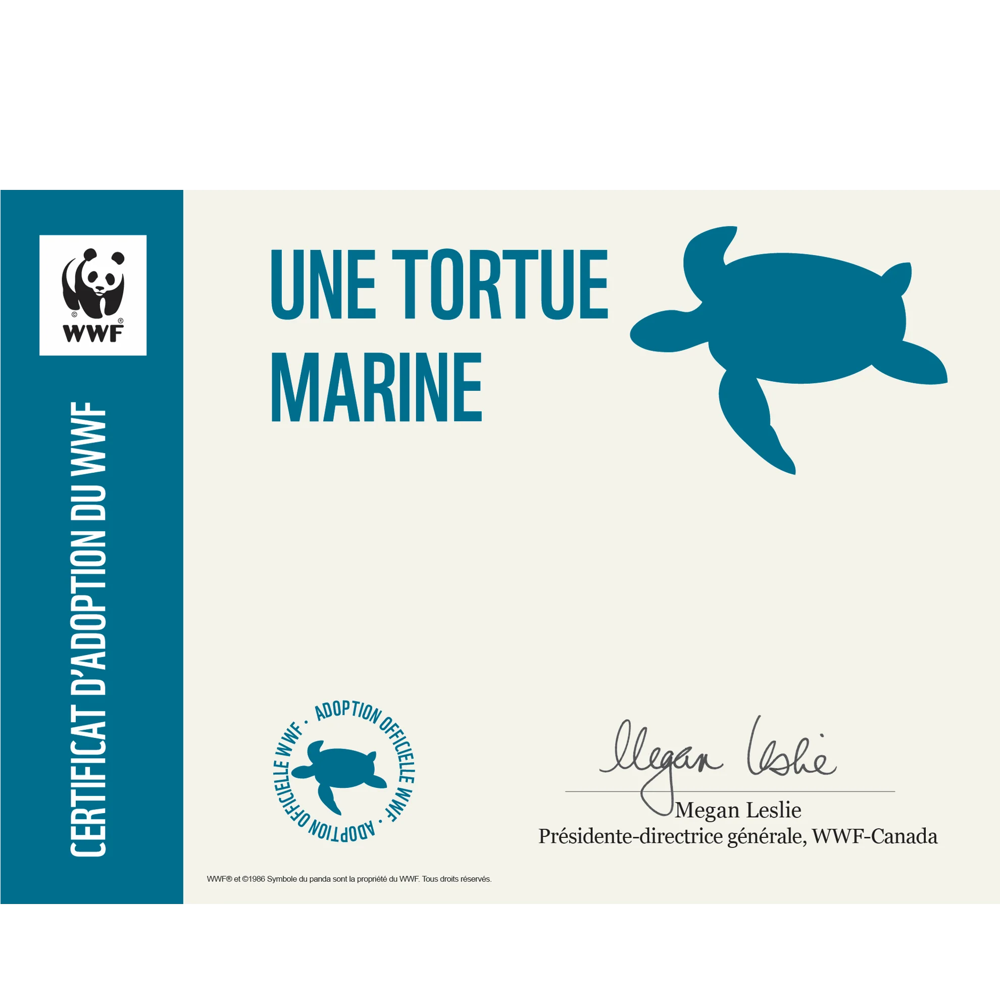 Tortue marine - Image 3