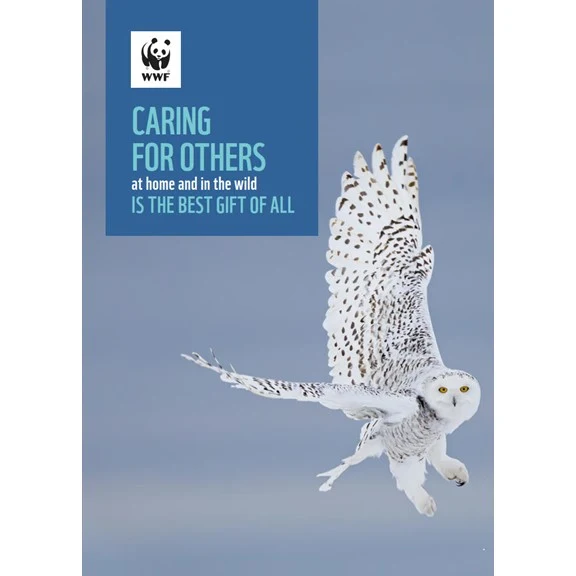 Wildlife holiday greeting cards - Image 2