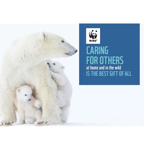 Wildlife holiday greeting cards - Image 3